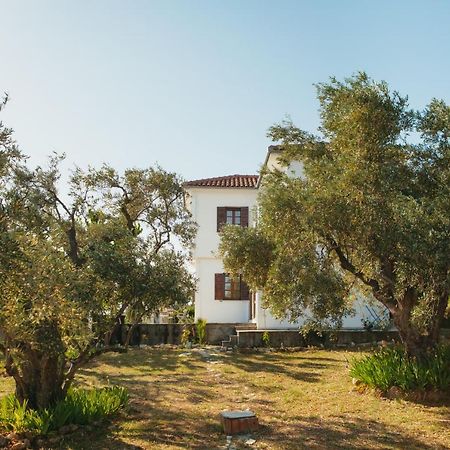 Βίλλα Φανούλα Villa Fanoula Chorto Exteriér fotografie