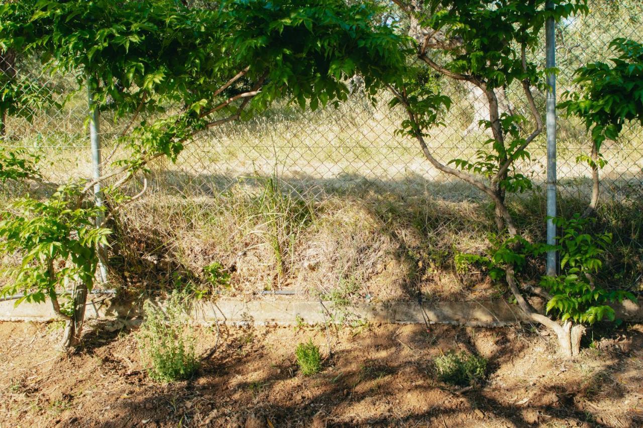 Βίλλα Φανούλα Villa Fanoula Chorto Exteriér fotografie