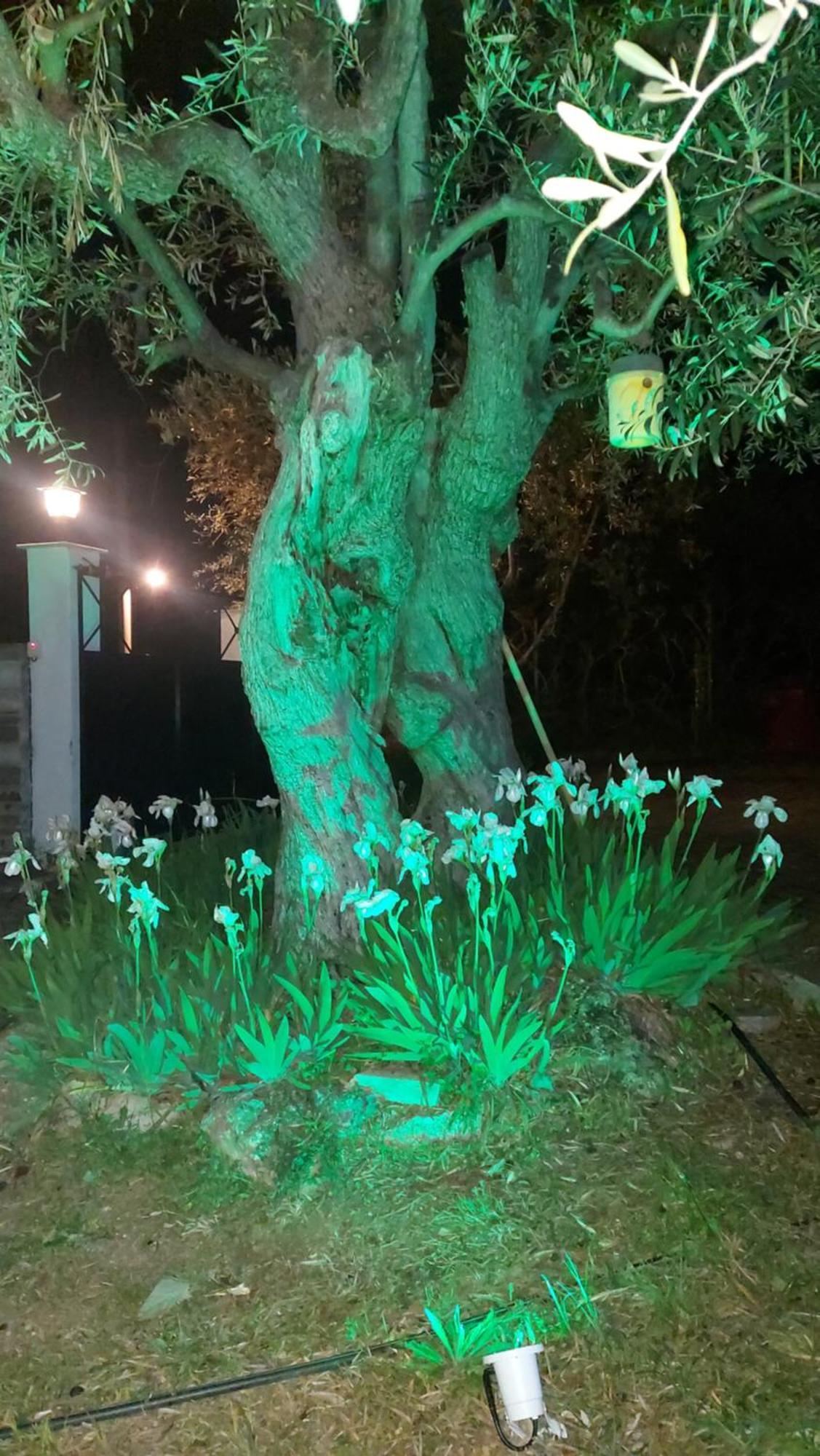 Βίλλα Φανούλα Villa Fanoula Chorto Exteriér fotografie