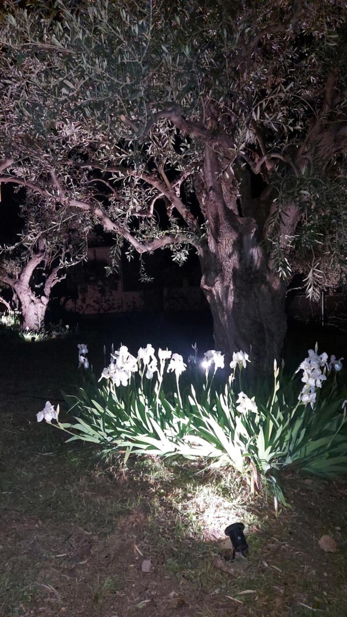 Βίλλα Φανούλα Villa Fanoula Chorto Exteriér fotografie